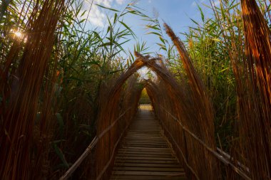 güzel manzara ve sultanmarshes (kuş cenneti) yanındaki erciyes Dağı, kayseri