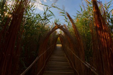 güzel manzara ve sultanmarshes (kuş cenneti) yanındaki erciyes Dağı, kayseri