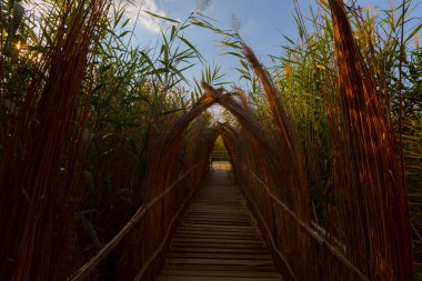 güzel manzara ve sultanmarshes (kuş cenneti) yanındaki erciyes Dağı, kayseri