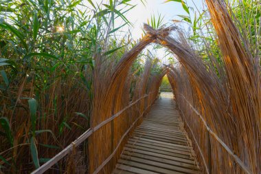 güzel manzara ve sultanmarshes (kuş cenneti) yanındaki erciyes Dağı, kayseri