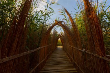 güzel manzara ve sultanmarshes (kuş cenneti) yanındaki erciyes Dağı, kayseri