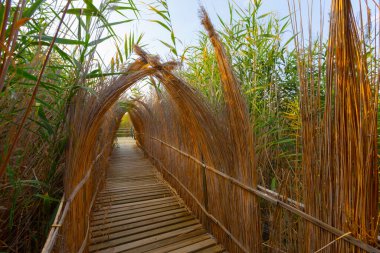 güzel manzara ve sultanmarshes (kuş cenneti) yanındaki erciyes Dağı, kayseri