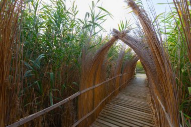 güzel manzara ve sultanmarshes (kuş cenneti) yanındaki erciyes Dağı, kayseri