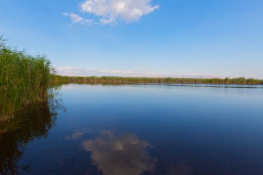 güzel manzara ve sultanmarshes (kuş cenneti) yanındaki erciyes Dağı, kayseri