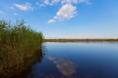 güzel manzara ve sultanmarshes (kuş cenneti) yanındaki erciyes Dağı, kayseri