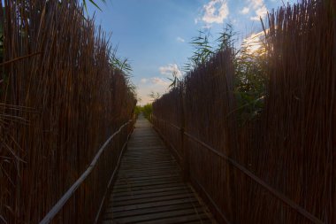 güzel manzara ve sultanmarshes (kuş cenneti) yanındaki erciyes Dağı, kayseri