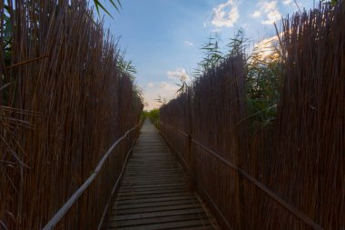 güzel manzara ve sultanmarshes (kuş cenneti) yanındaki erciyes Dağı, kayseri