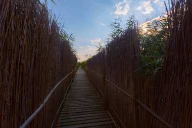 güzel manzara ve sultanmarshes (kuş cenneti) yanındaki erciyes Dağı, kayseri