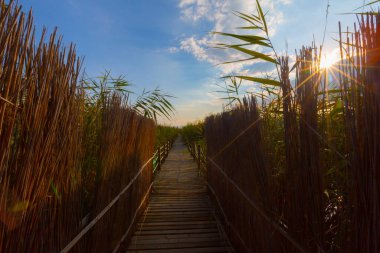 güzel manzara ve sultanmarshes (kuş cenneti) yanındaki erciyes Dağı, kayseri
