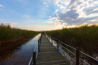 güzel manzara ve sultanmarshes (kuş cenneti) yanındaki erciyes Dağı, kayseri
