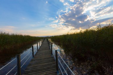 güzel manzara ve sultanmarshes (kuş cenneti) yanındaki erciyes Dağı, kayseri