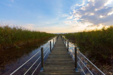 güzel manzara ve sultanmarshes (kuş cenneti) yanındaki erciyes Dağı, kayseri