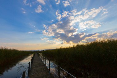 güzel manzara ve sultanmarshes (kuş cenneti) yanındaki erciyes Dağı, kayseri