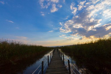 güzel manzara ve sultanmarshes (kuş cenneti) yanındaki erciyes Dağı, kayseri