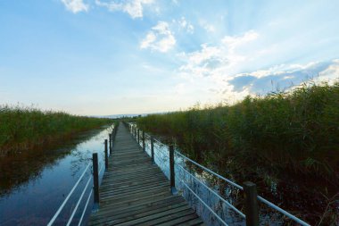 güzel manzara ve sultanmarshes (kuş cenneti) yanındaki erciyes Dağı, kayseri