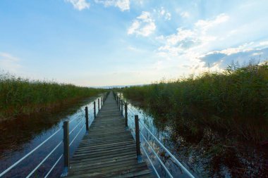 güzel manzara ve sultanmarshes (kuş cenneti) yanındaki erciyes Dağı, kayseri