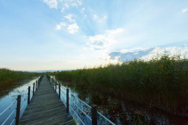 güzel manzara ve sultanmarshes (kuş cenneti) yanındaki erciyes Dağı, kayseri