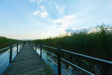 güzel manzara ve sultanmarshes (kuş cenneti) yanındaki erciyes Dağı, kayseri