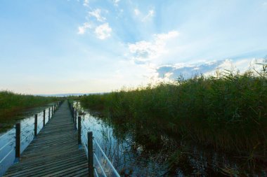 güzel manzara ve sultanmarshes (kuş cenneti) yanındaki erciyes Dağı, kayseri