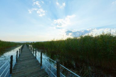 güzel manzara ve sultanmarshes (kuş cenneti) yanındaki erciyes Dağı, kayseri