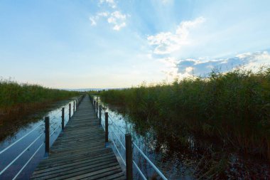 güzel manzara ve sultanmarshes (kuş cenneti) yanındaki erciyes Dağı, kayseri