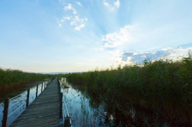 güzel manzara ve sultanmarshes (kuş cenneti) yanındaki erciyes Dağı, kayseri