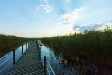 güzel manzara ve sultanmarshes (kuş cenneti) yanındaki erciyes Dağı, kayseri