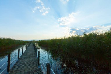 güzel manzara ve sultanmarshes (kuş cenneti) yanındaki erciyes Dağı, kayseri