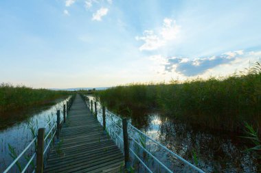 güzel manzara ve sultanmarshes (kuş cenneti) yanındaki erciyes Dağı, kayseri