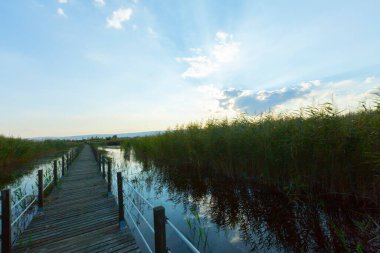güzel manzara ve sultanmarshes (kuş cenneti) yanındaki erciyes Dağı, kayseri