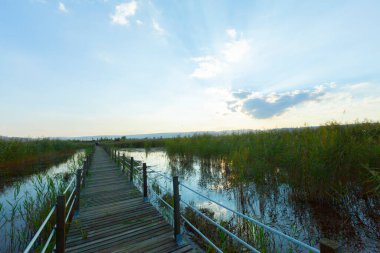 güzel manzara ve sultanmarshes (kuş cenneti) yanındaki erciyes Dağı, kayseri