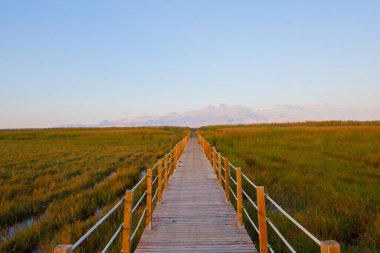 güzel manzara ve sultanmarshes (kuş cenneti) yanındaki erciyes Dağı, kayseri