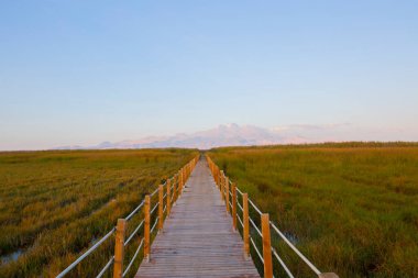 güzel manzara ve sultanmarshes (kuş cenneti) yanındaki erciyes Dağı, kayseri