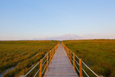 güzel manzara ve sultanmarshes (kuş cenneti) yanındaki erciyes Dağı, kayseri
