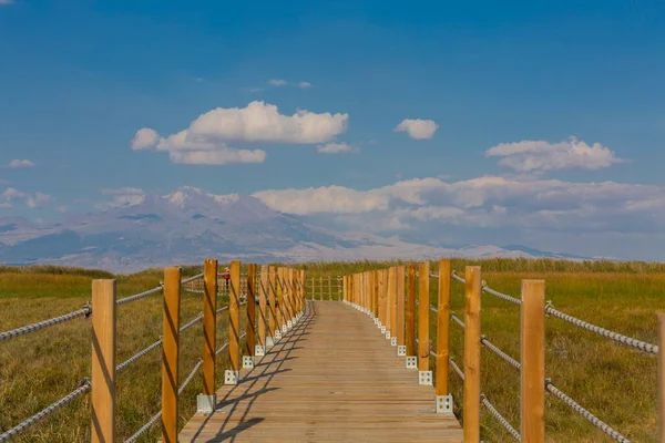 güzel manzara ve sultanmarshes (kuş cenneti) yanındaki erciyes Dağı, kayseri