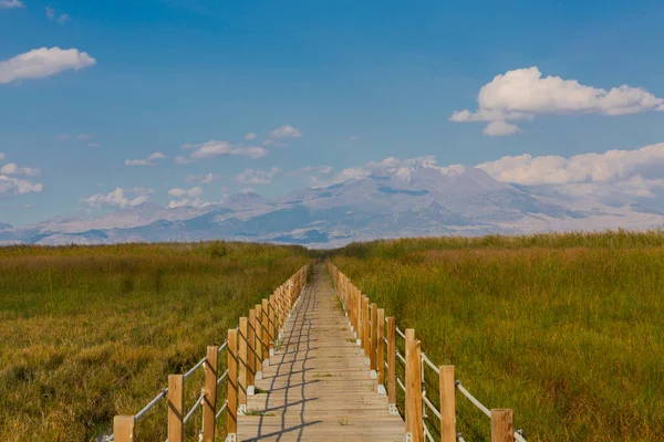 güzel manzara ve sultanmarshes (kuş cenneti) yanındaki erciyes Dağı, kayseri