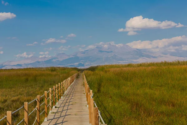 güzel manzara ve sultanmarshes (kuş cenneti) yanındaki erciyes Dağı, kayseri