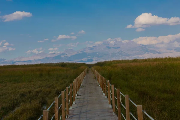 güzel manzara ve sultanmarshes (kuş cenneti) yanındaki erciyes Dağı, kayseri