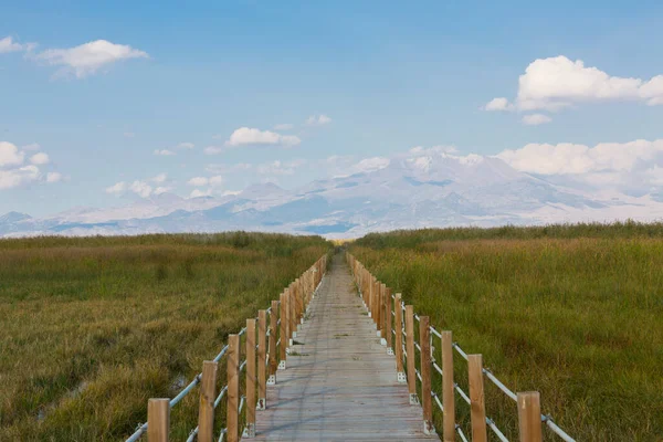 güzel manzara ve sultanmarshes (kuş cenneti) yanındaki erciyes Dağı, kayseri