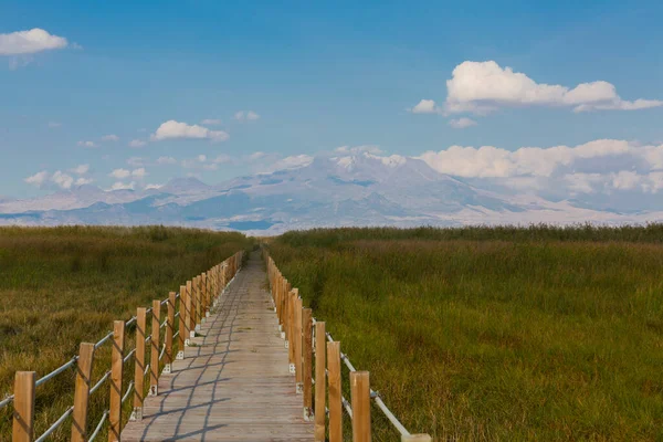 güzel manzara ve sultanmarshes (kuş cenneti) yanındaki erciyes Dağı, kayseri