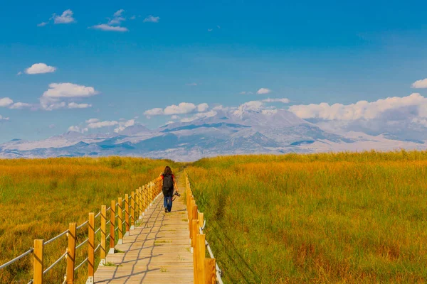 güzel manzara ve sultanmarshes (kuş cenneti) yanındaki erciyes Dağı, kayseri