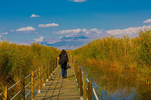 güzel manzara ve sultanmarshes (kuş cenneti) yanındaki erciyes Dağı, kayseri