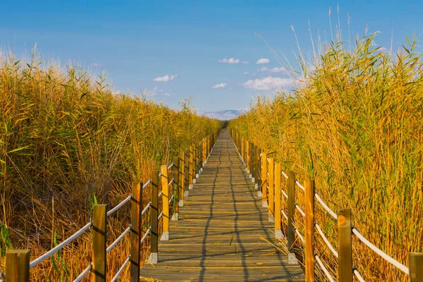 güzel manzara ve sultanmarshes (kuş cenneti) yanındaki erciyes Dağı, kayseri
