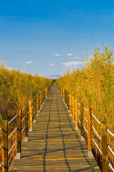 güzel manzara ve sultanmarshes (kuş cenneti) yanındaki erciyes Dağı, kayseri