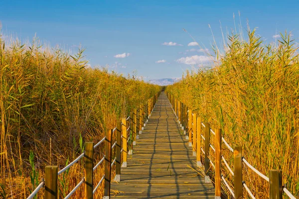 güzel manzara ve sultanmarshes (kuş cenneti) yanındaki erciyes Dağı, kayseri