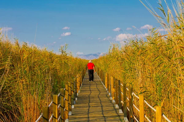 güzel manzara ve sultanmarshes (kuş cenneti) yanındaki erciyes Dağı, kayseri