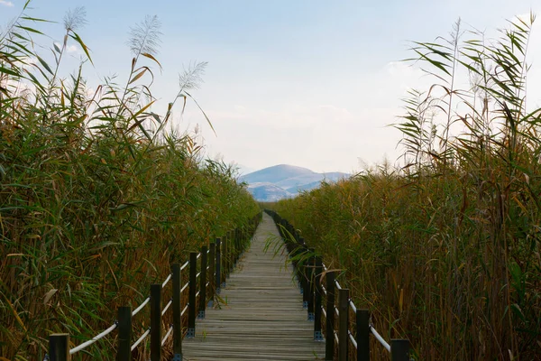güzel manzara ve sultanmarshes (kuş cenneti) yanındaki erciyes Dağı, kayseri