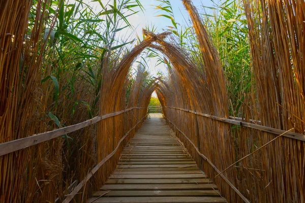 güzel manzara ve sultanmarshes (kuş cenneti) yanındaki erciyes Dağı, kayseri