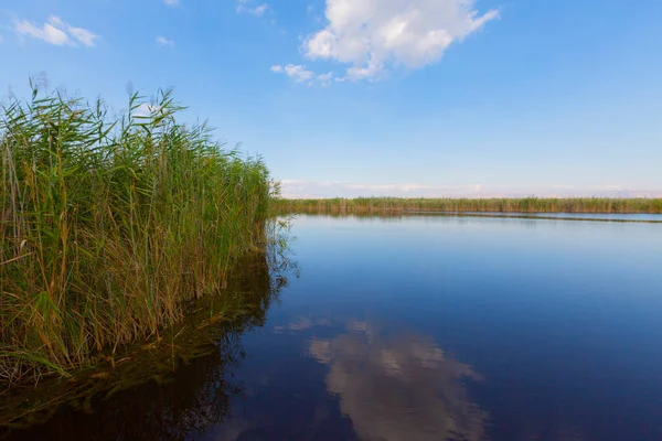 güzel manzara ve sultanmarshes (kuş cenneti) yanındaki erciyes Dağı, kayseri