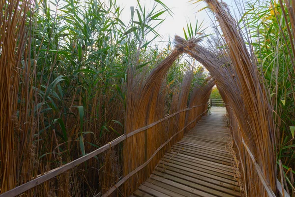 güzel manzara ve sultanmarshes (kuş cenneti) yanındaki erciyes Dağı, kayseri